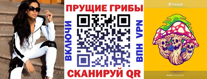 как найти закладки  Малая Вишера  ОМГ ОМГ вход  Псилоцибиновые грибы Psilocybe 